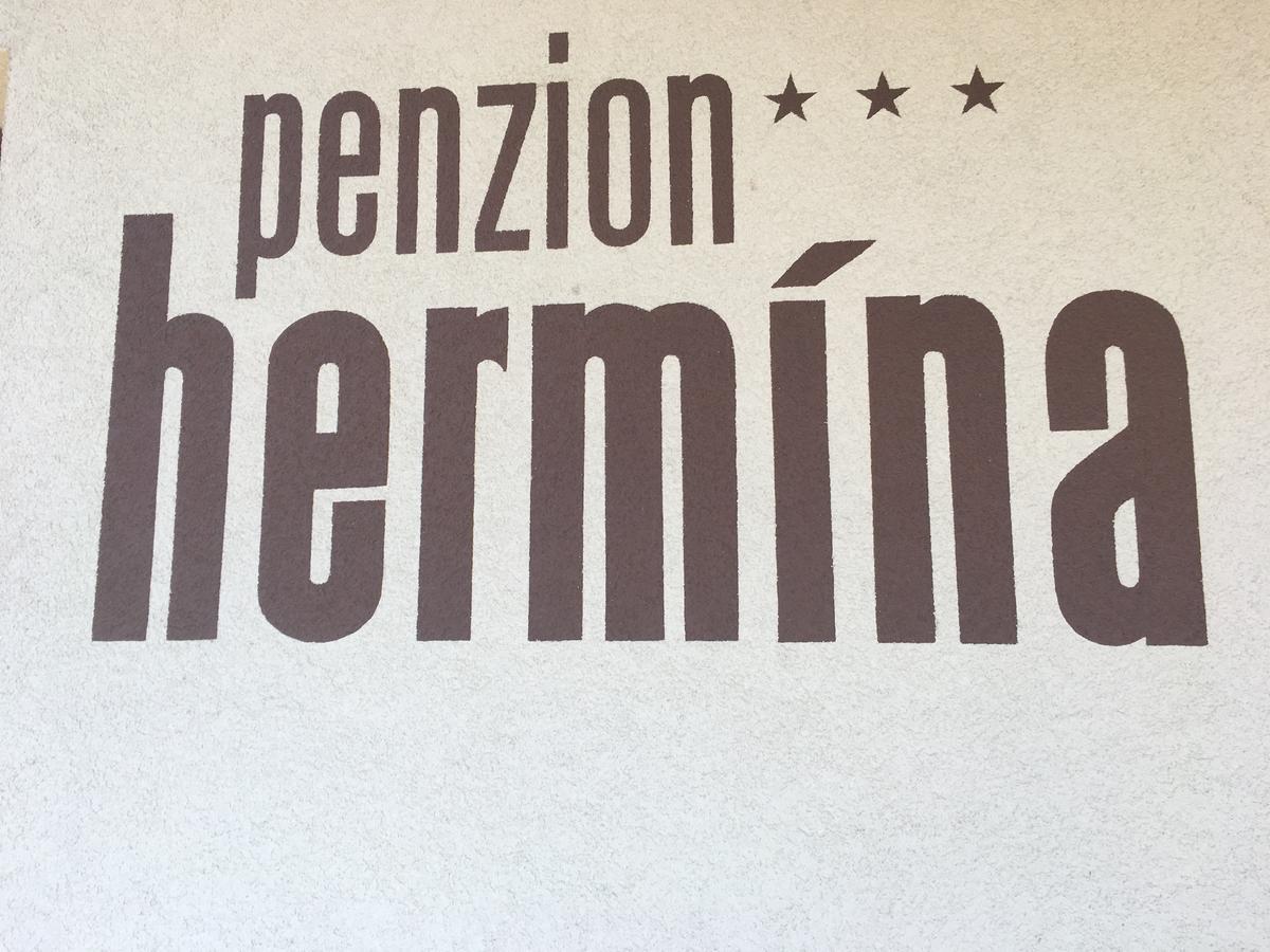 Penzion Hermina Veselí nad Moravou Eksteriør bilde